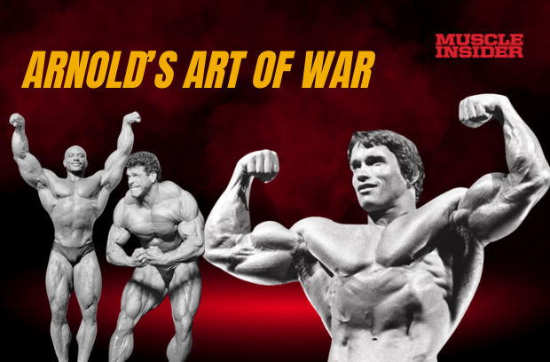 Arnolds Art of War cover