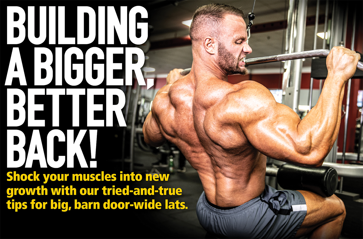 Bodybuilding Back Workout - How To Build A Wide Muscular Back