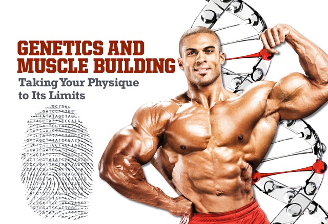 Genetics and muscle definition