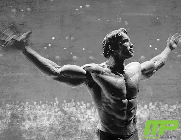The Arnold Line: Fitness Gear and Supplements | MUSCLE INSIDER