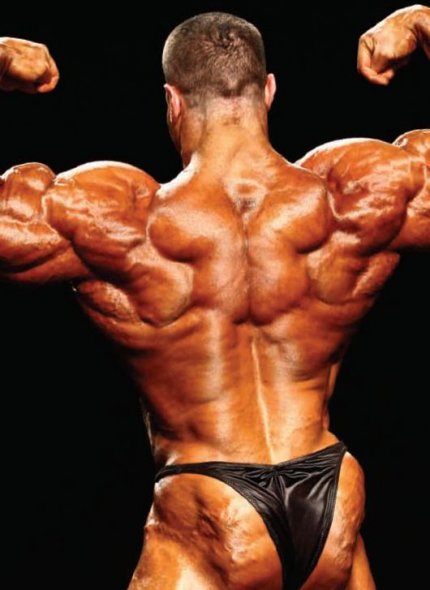 Best Back Workouts for a Barn Door Back