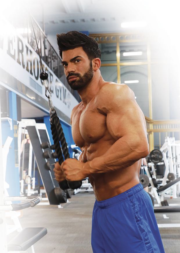 SERGI CONSTANCE BIOGRAPHY, sergi bodybuilder HD wallpaper | Pxfuel