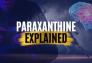 Paraxanthine Explained