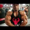 IFBB Pro 212 champ Shawn Clarida trains arms 5 weeks out