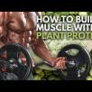 How To Build Muscle With Plant Protein