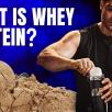 What Is Whey Protein?