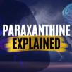 Paraxanthine Explained