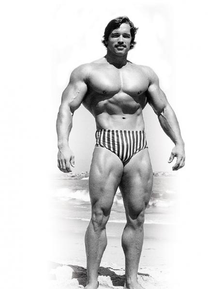 70s bodybuilders on sale